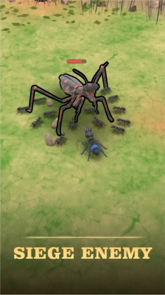 蚂蚁王国最新版(3)