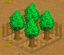 王都创世录游戏截图4