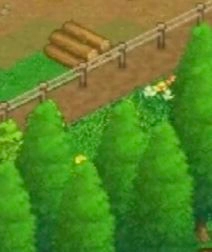 王都创世录游戏截图5