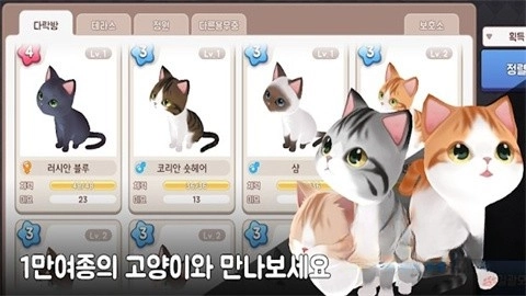 治愈猫咪培育馆(1)