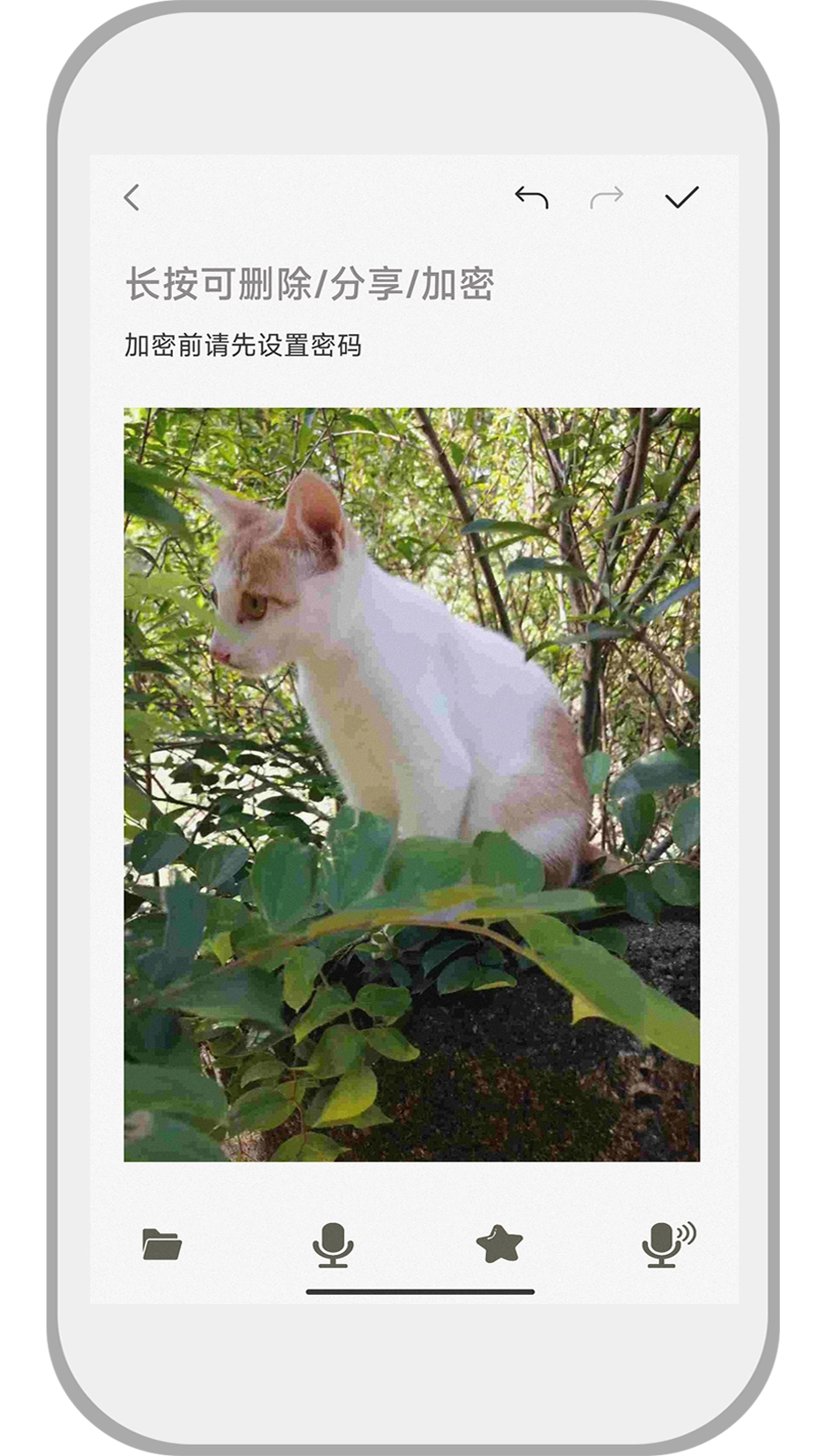 速记备忘录(1)