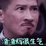 抖音渣渣辉gif动图 图1