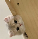 陌陌工具箱软件