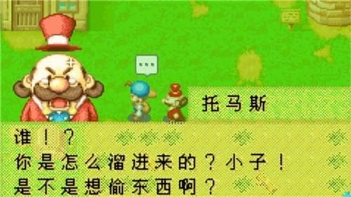 牧场物语矿石镇的伙伴们手机版图4
