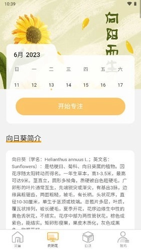 向阳流量图3