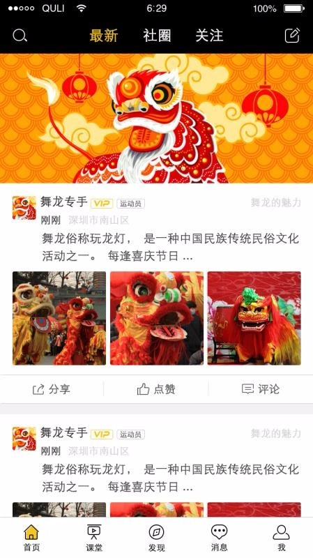 龙情狮义图1