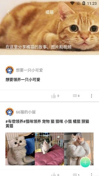 握爪宠物图2