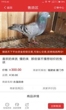 搜鸽天下图2