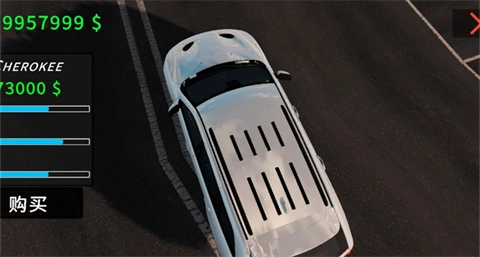 真实汽车驾驶汉化版(5)