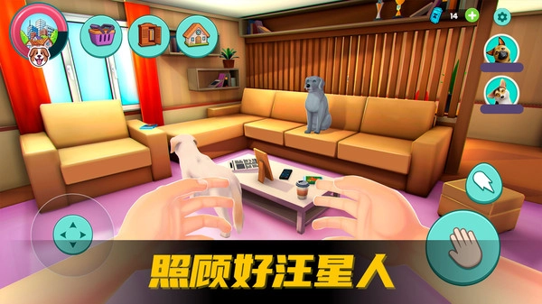 超级宠物之友