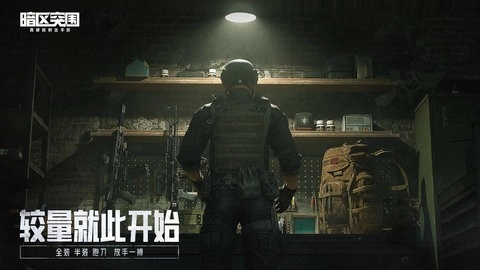 暗区突围画质助手图2