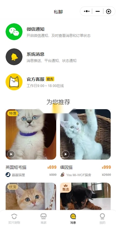 买只宠物通用版图3