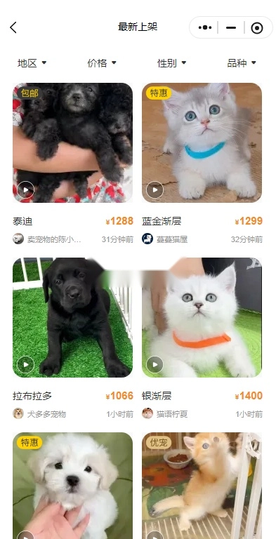 买只宠物通用版图5