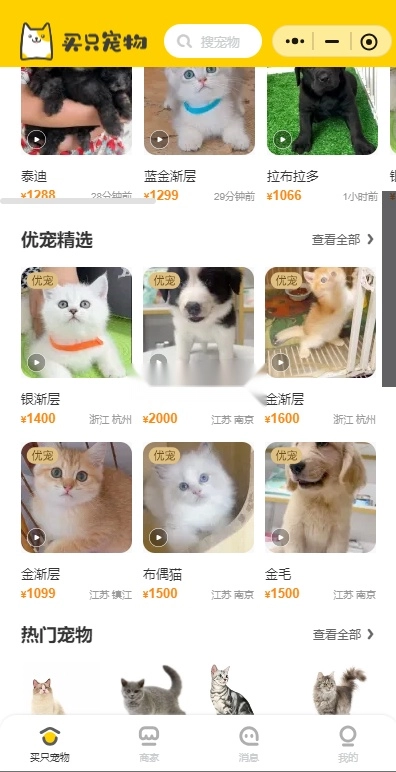 买只宠物通用版图6