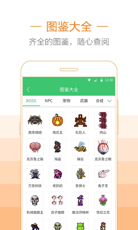 泰拉瑞亚助手游戏官方版图3