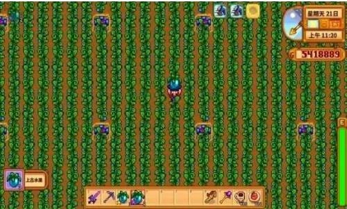 星露谷物语手机版图2