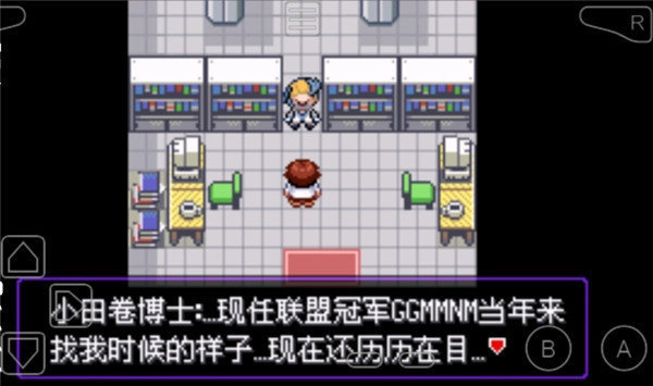 口袋妖怪：漆黑的魅影