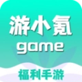 游小氪游戏