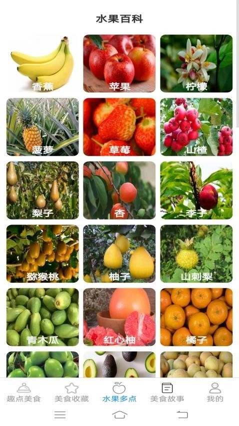 趣点美食