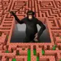 3D迷宫大挑战安卓直装版