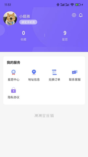 星运猫图1
