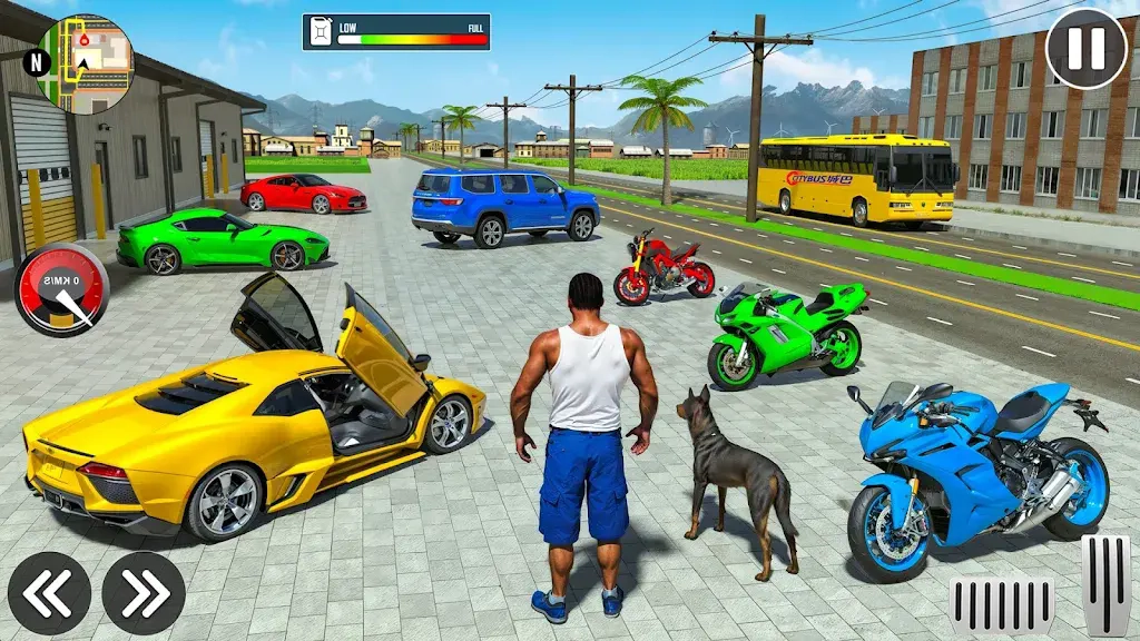 真实汽车驾驶3D图4