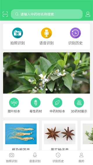 照药镜图2