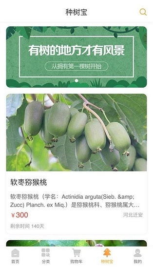 春藏好易购图3