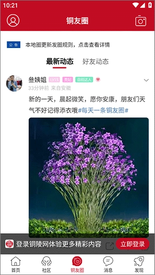 铜陵网手机版图3