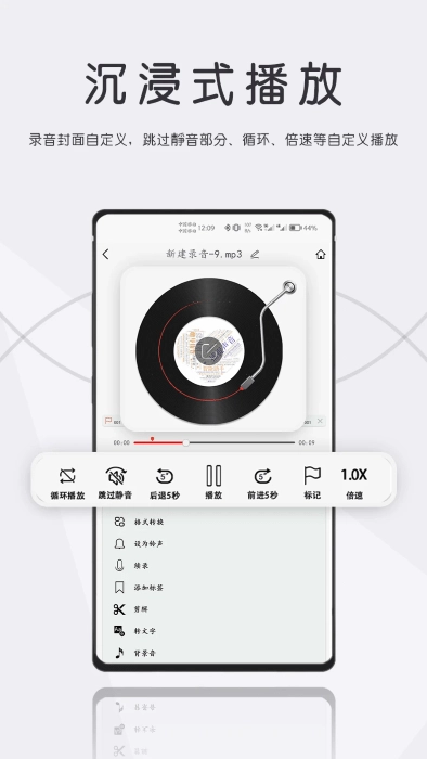 大录音师