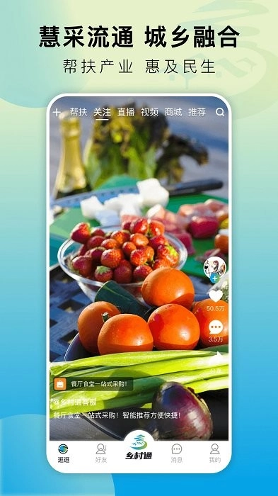 乡村通图4