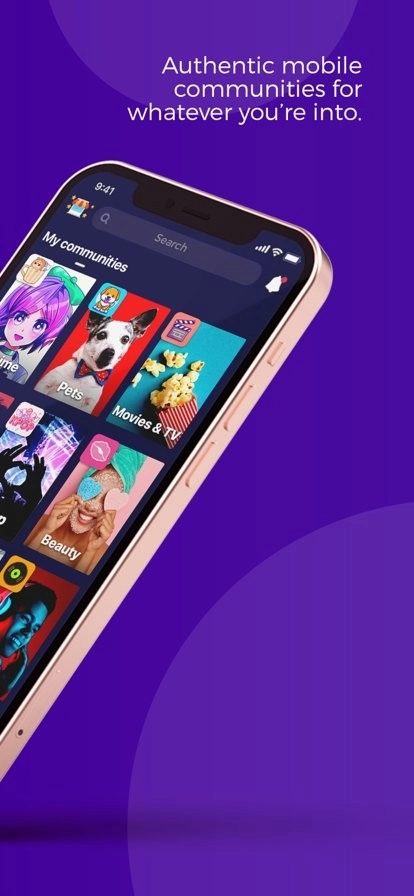 amino图1