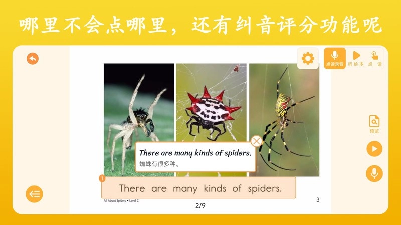 英语点读王正版图2