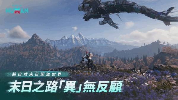 七日世界国际服-图4