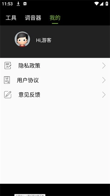 琵琶调音图1