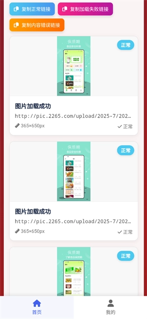 图片链接检测