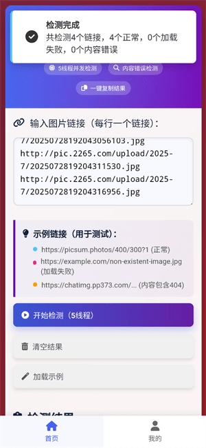 图片链接检测