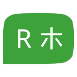 RTranslator中文版