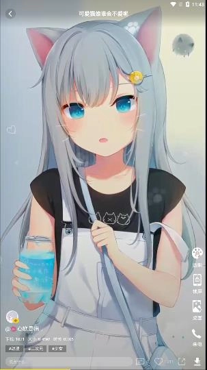 熊猫视频壁纸图1