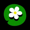 囱彩色彩免费原版