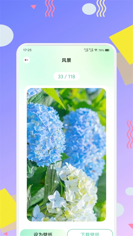 荷花壁纸图2