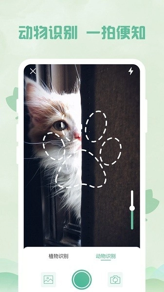 智能扫描王图2
