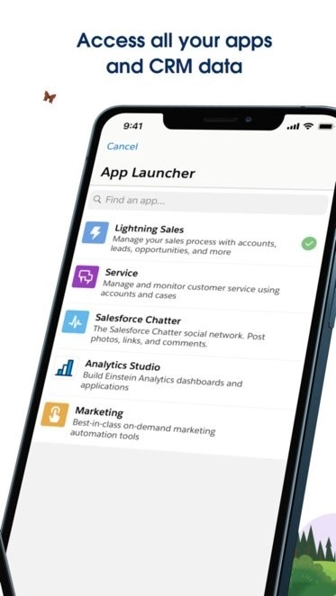 salesforce图1
