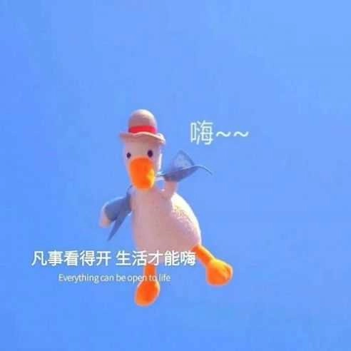 抓不住的东西连伸手都是多余的图片 图4