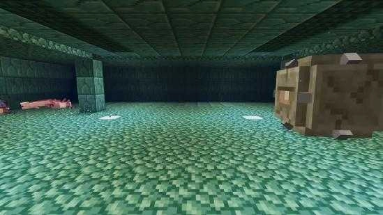 我的世界2021夏季更新版图7