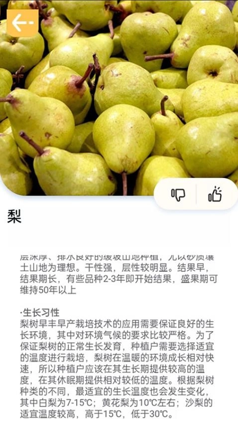 百果日记最新版图1