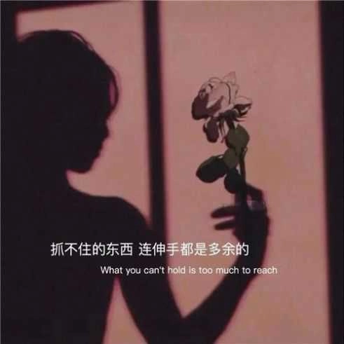 抓不住的东西连伸手都是多余的图片 图3