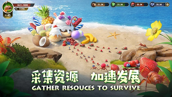 小小蚁国国际服最新版(3)