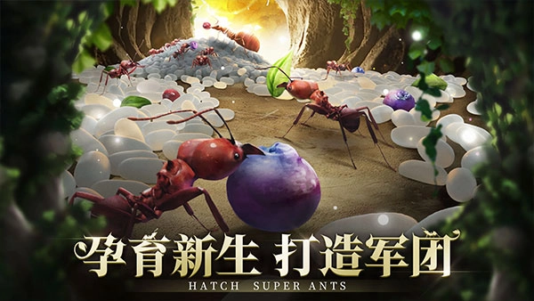 小小蚁国国际服最新版(2)