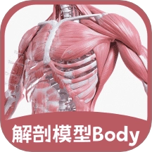 解剖模型Body